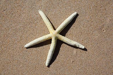 《英雄联盟》S12淘汰赛抽签结果出炉 JDG、RNG、EDG晋级八强